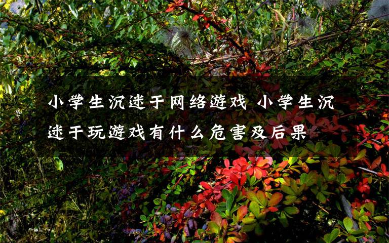 小学生沉迷于网络游戏 小学生沉迷于玩游戏有什么危害及后果