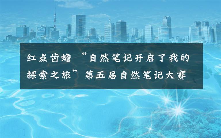红点齿蟾 “自然笔记开启了我的探索之旅”第五届自然笔记大赛颁奖