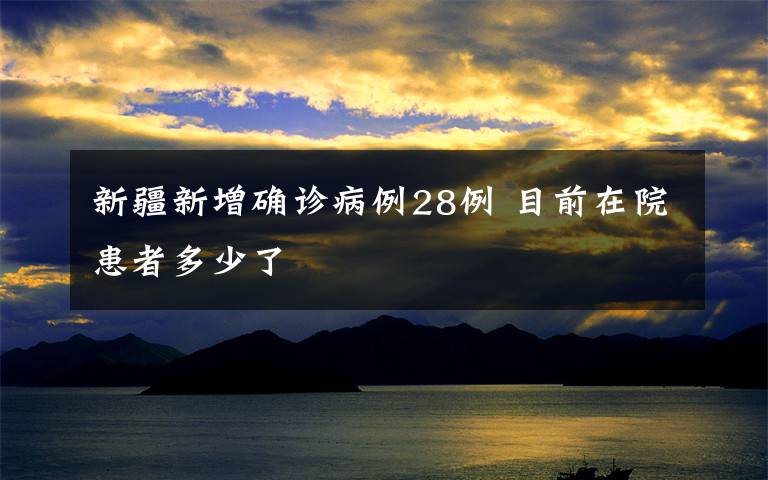 新疆新增确诊病例28例 目前在院患者多少了