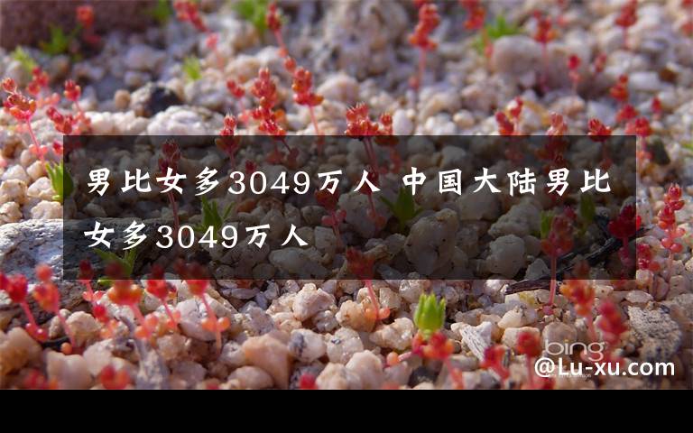 男比女多3049万人 中国大陆男比女多3049万人
