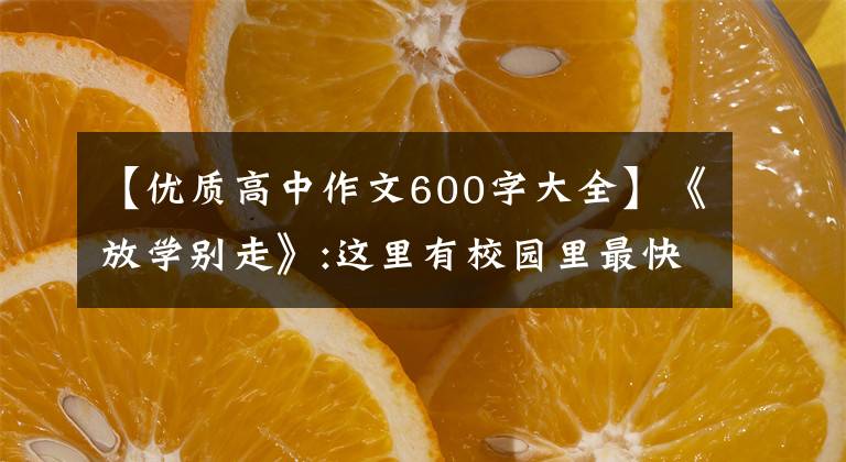 【优质高中作文600字大全】《放学别走》:这里有校园里最快乐的时光，有青春最真实的样子