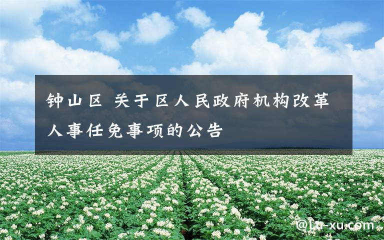 钟山区 关于区人民政府机构改革人事任免事项的公告