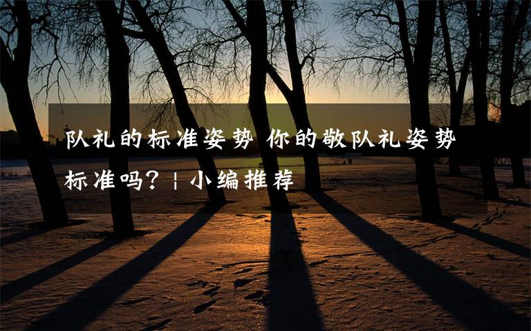 队礼的标准姿势 你的敬队礼姿势标准吗？| 小编推荐