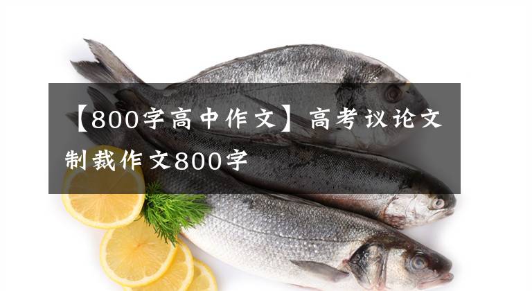 【800字高中作文】高考议论文制裁作文800字