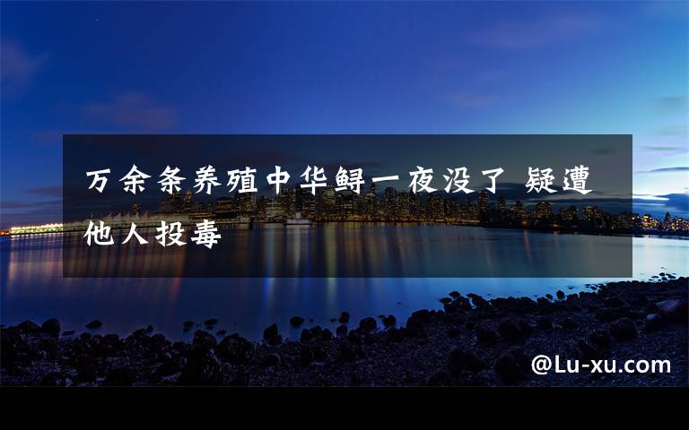 万余条养殖中华鲟一夜没了 疑遭他人投毒
