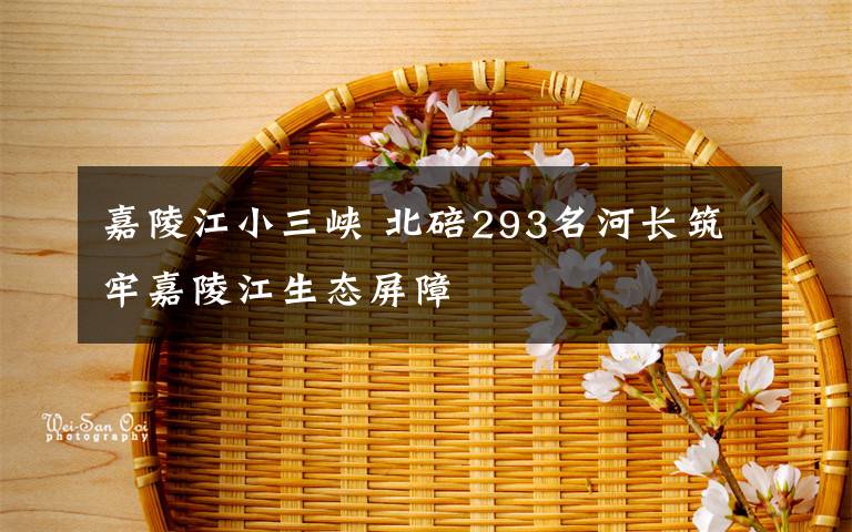 嘉陵江小三峡 北碚293名河长筑牢嘉陵江生态屏障
