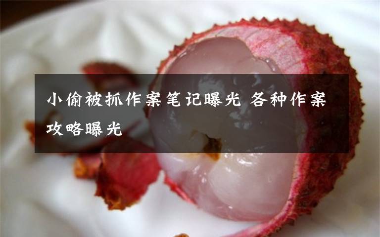 小偷被抓作案笔记曝光 各种作案攻略曝光