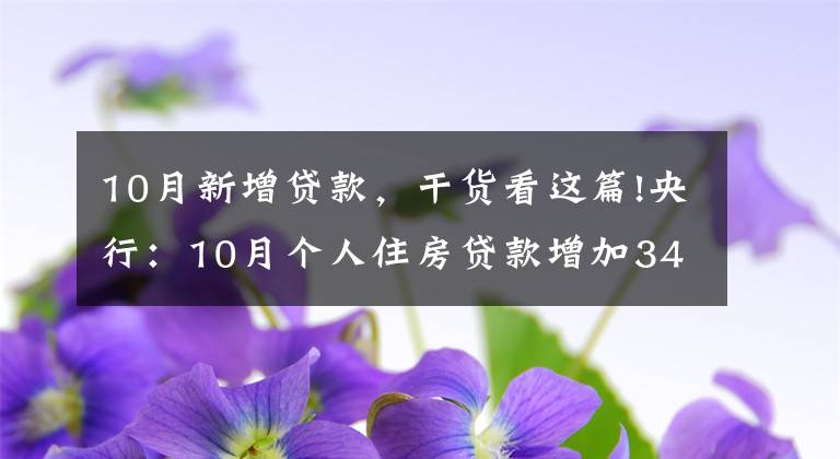 10月新增贷款，干货看这篇!央行：10月个人住房贷款增加3481亿元