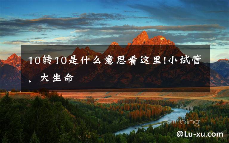 10转10是什么意思看这里!小试管，大生命