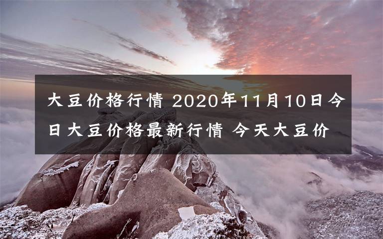 大豆价格行情 2020年11月10日今日大豆价格最新行情 今天大豆价格一览表