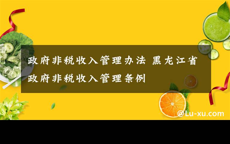 政府非税收入管理办法 黑龙江省政府非税收入管理条例