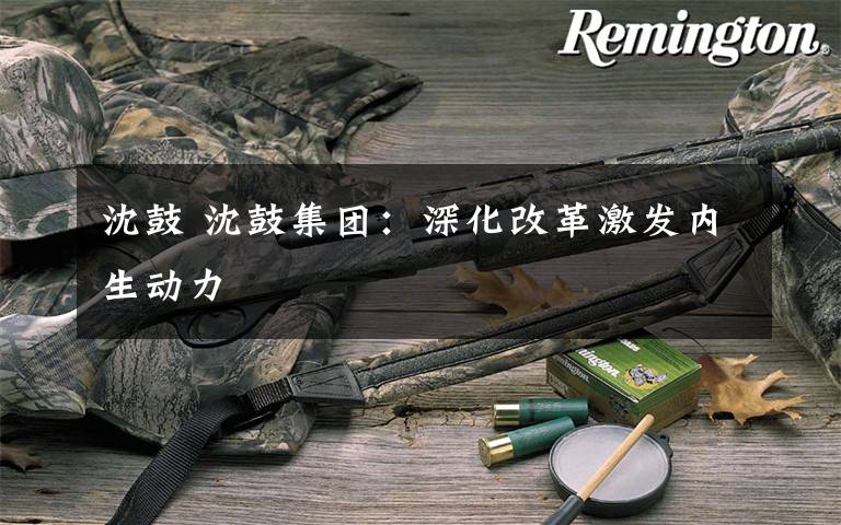 沈鼓 沈鼓集团：深化改革激发内生动力