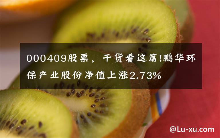 000409股票，干货看这篇!鹏华环保产业股份净值上涨2.73%
