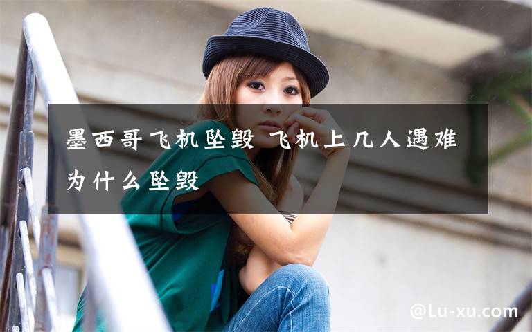 墨西哥飞机坠毁 飞机上几人遇难为什么坠毁
