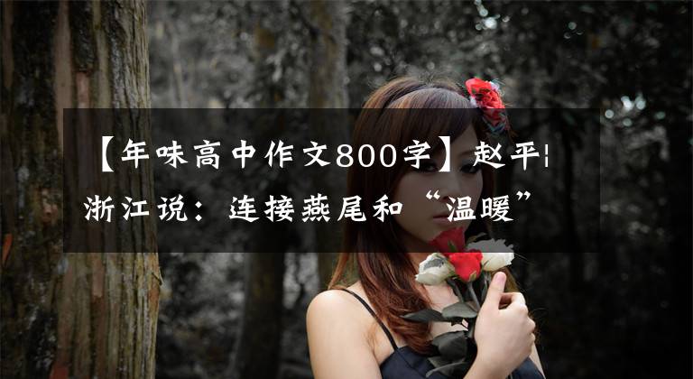 【年味高中作文800字】赵平|浙江说：连接燕尾和“温暖”