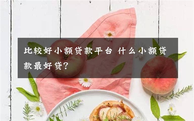 比较好小额贷款平台 什么小额贷款最好贷？