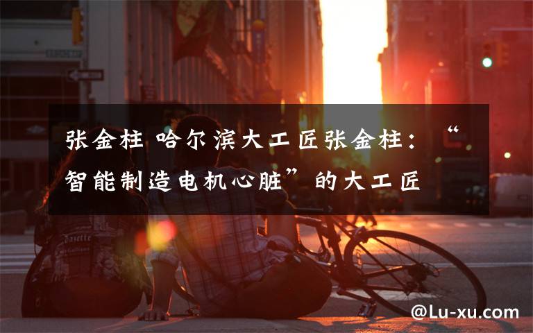 张金柱 哈尔滨大工匠张金柱：“智能制造电机心脏”的大工匠