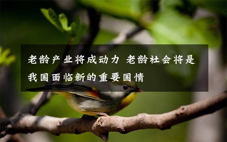 老龄产业将成动力 老龄社会将是我国面临新的重要国情