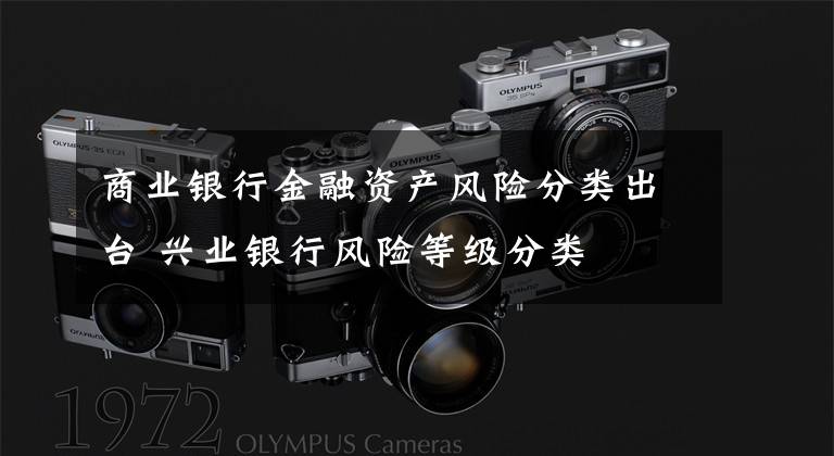 商业银行金融资产风险分类出台 兴业银行风险等级分类