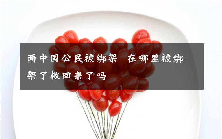 两中国公民被绑架  在哪里被绑架了救回来了吗