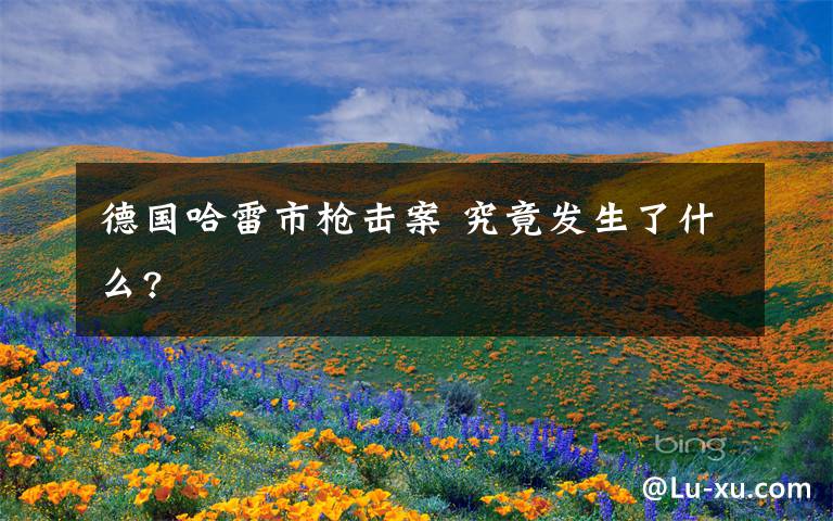 德国哈雷市枪击案 究竟发生了什么?