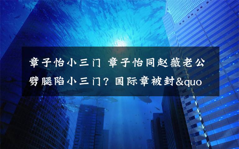 章子怡小三门 章子怡同赵薇老公劈腿陷小三门? 国际章被封"门神"
