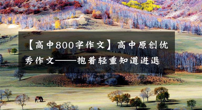 【高中800字作文】高中原创优秀作文——抱着轻重知道进退(共两篇)