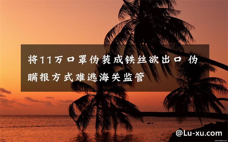 将11万口罩伪装成铁丝欲出口 伪瞒报方式难逃海关监管
