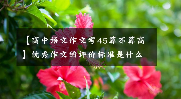 【高中语文作文考45算不算高】优秀作文的评价标准是什么？