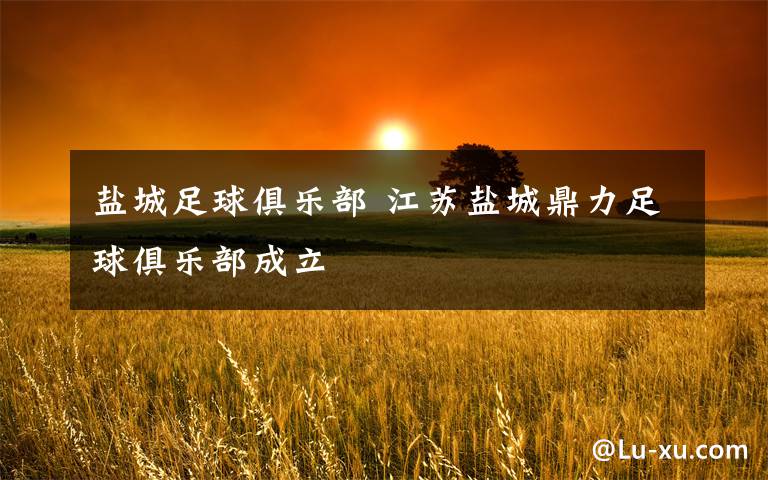 盐城足球俱乐部 江苏盐城鼎力足球俱乐部成立