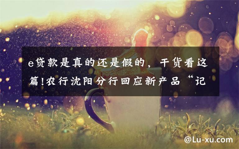 e贷款是真的还是假的，干货看这篇!农行沈阳分行回应新产品“记者e贷”：需要单位申请