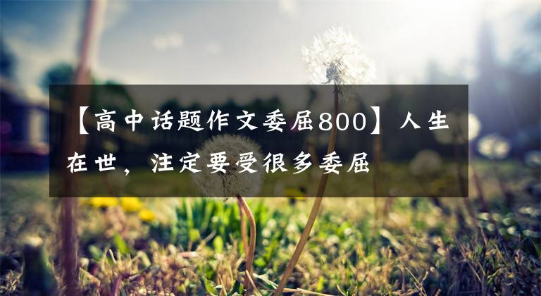 【高中话题作文委屈800】人生在世，注定要受很多委屈