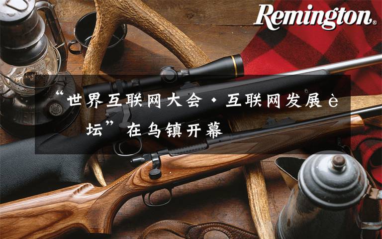 “世界互联网大会·互联网发展论坛”在乌镇开幕