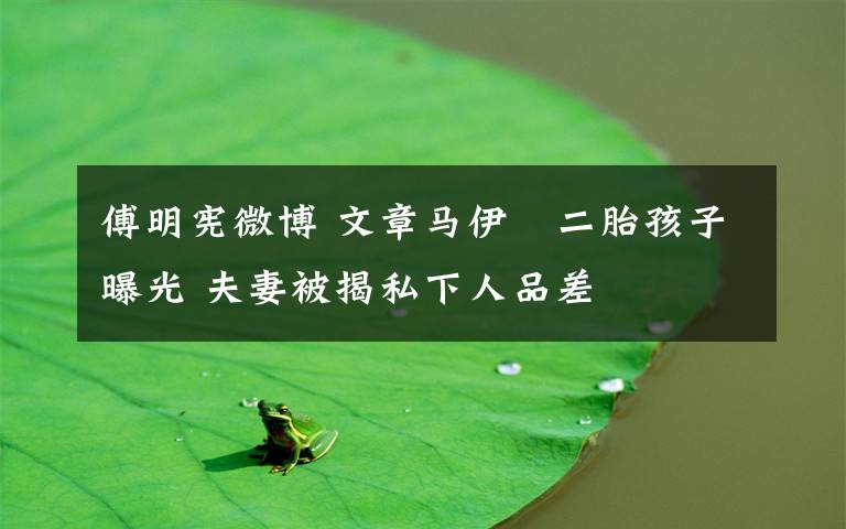傅明宪微博 文章马伊琍二胎孩子曝光 夫妻被揭私下人品差