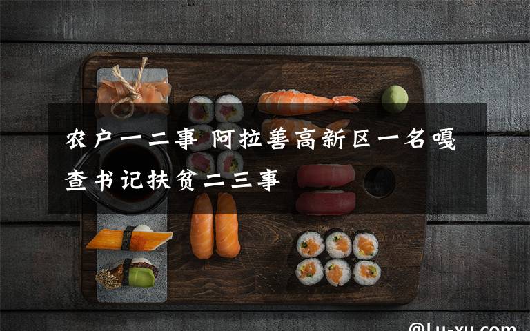 农户一二事 阿拉善高新区一名嘎查书记扶贫二三事