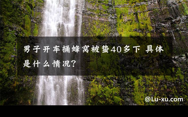 男子开车捅蜂窝被蛰40多下 具体是什么情况？