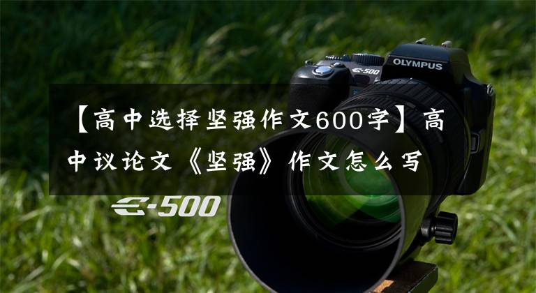 【高中选择坚强作文600字】高中议论文《坚强》作文怎么写？你看语文老师给你写了一篇范文