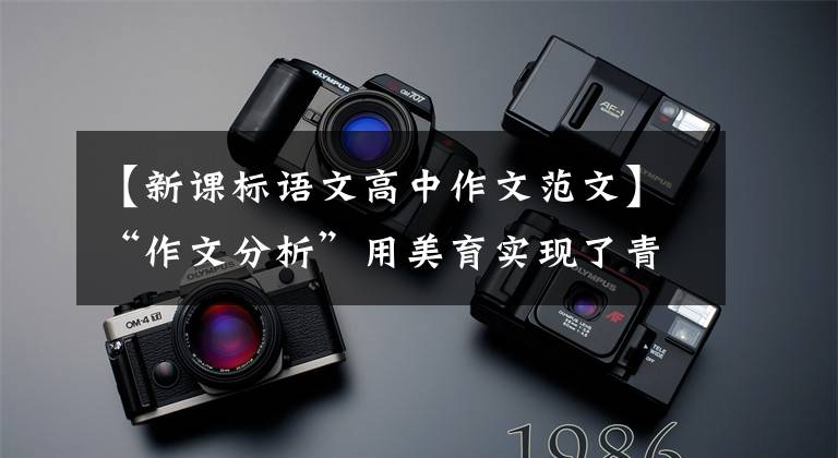 【新课标语文高中作文范文】“作文分析”用美育实现了青春的风化
