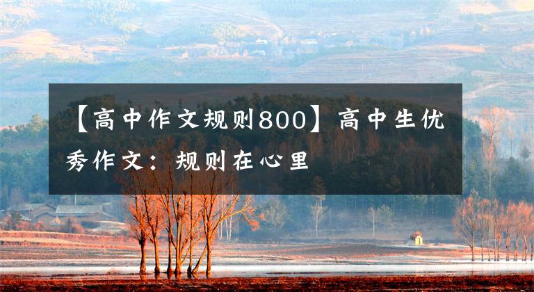 【高中作文规则800】高中生优秀作文：规则在心里
