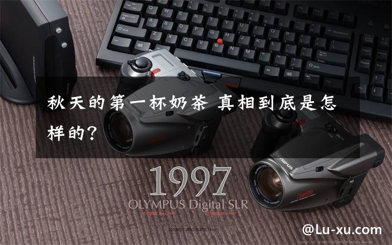 秋天的第一杯奶茶 真相到底是怎样的？