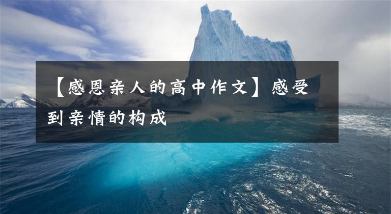 【感恩亲人的高中作文】感受到亲情的构成
