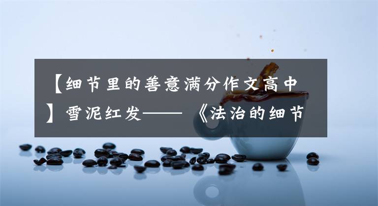 【细节里的善意满分作文高中】雪泥红发—— 《法治的细节》读