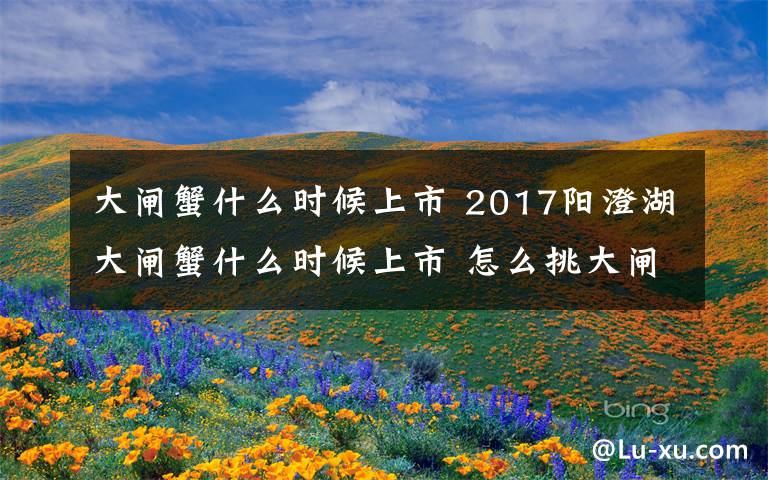 大闸蟹什么时候上市 2017阳澄湖大闸蟹什么时候上市 怎么挑大闸蟹什么时候的大闸蟹最好