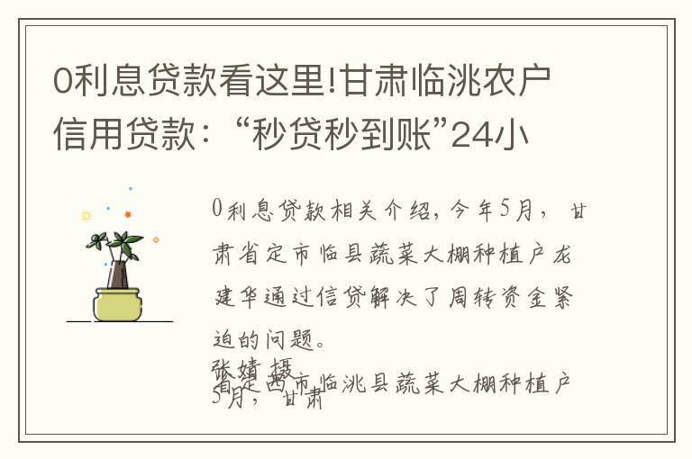 0利息贷款看这里!甘肃临洮农户信用贷款：“秒贷秒到账”24小时无利息
