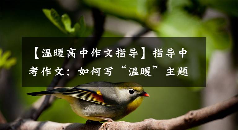 【温暖高中作文指导】指导中考作文：如何写“温暖”主题
