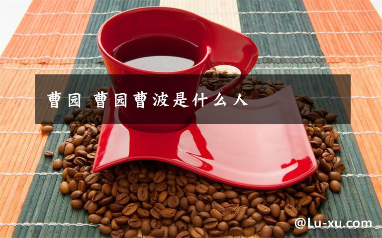 曹园 曹园曹波是什么人