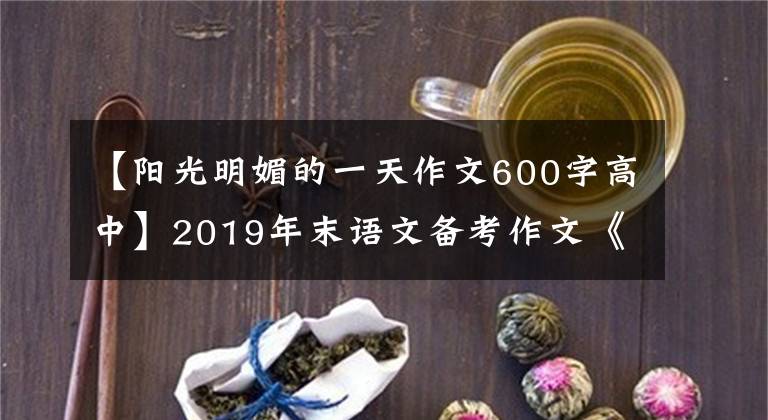 【阳光明媚的一天作文600字高中】2019年末语文备考作文《那一天，阳光灿烂》，名词压制预测。