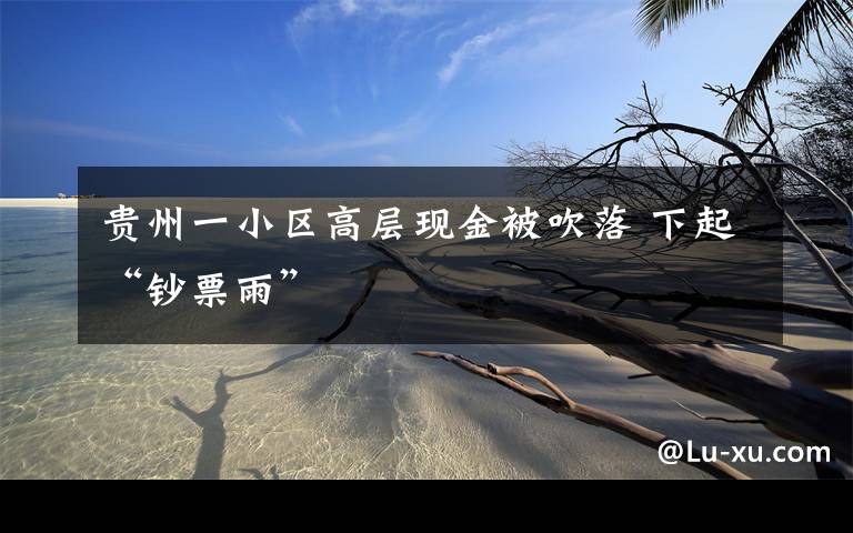 贵州一小区高层现金被吹落 下起“钞票雨”
