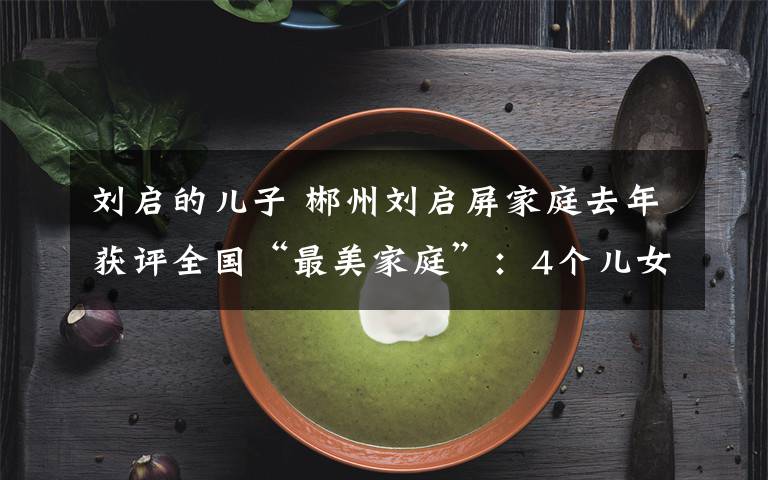 刘启的儿子 郴州刘启屏家庭去年获评全国“最美家庭”：4个儿女均成才