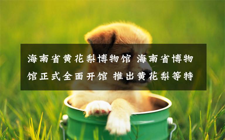 海南省黄花梨博物馆 海南省博物馆正式全面开馆 推出黄花梨等特色系列展览